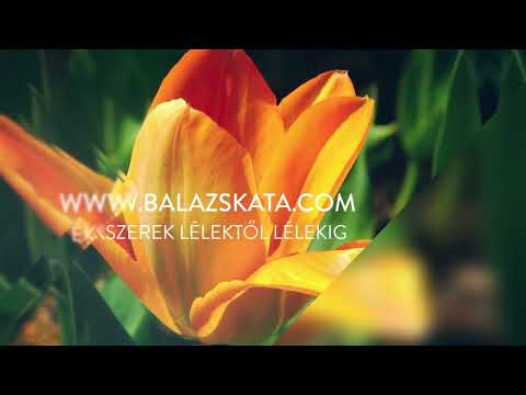 Naplemente-narancs Tuliphen Diva szett